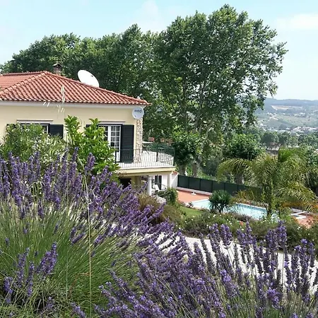 Cozy Near Obidos With Private Swimming Pool
