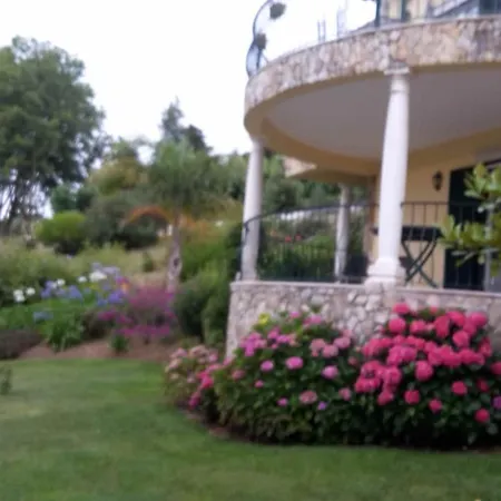 Cozy Near Obidos With Private Swimming Pool וילה A Dos Francos