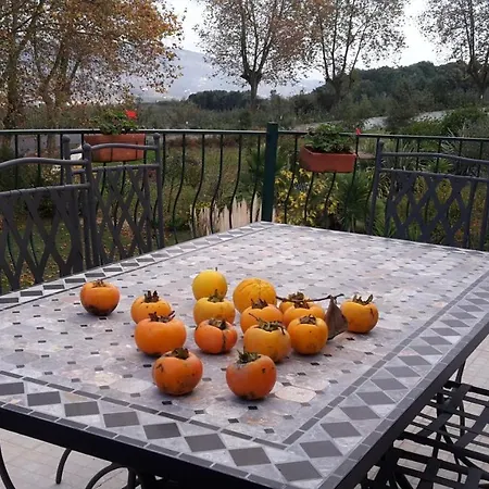 וילה Cozy Near Obidos With Private Swimming Pool *